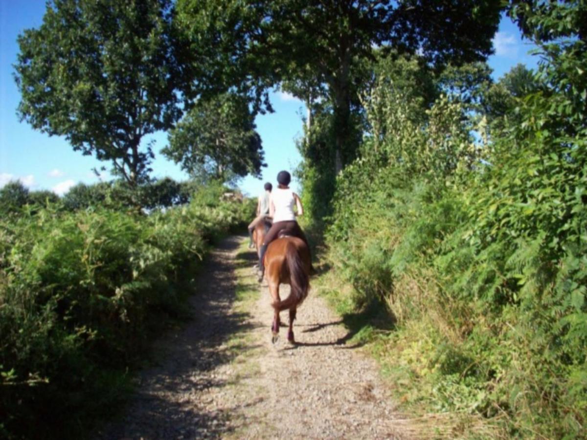 Isigny-le-Buat Cosy Chalet With Private Garden In Normandy חדר תמונה